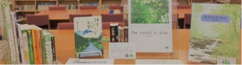 館内写真(環境展示・新着棚上) 館内写真(環境展示・新着棚上)